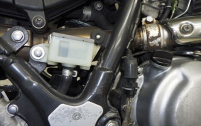 KAWASAKI SUPER SHERPA 2020 KL250G