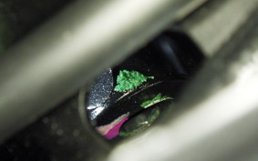 KAWASAKI NINJA 650 A 2025 ER650S