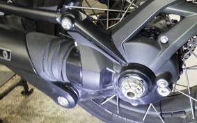 TRIUMPH TIGER 1200 RALLY EX 2023