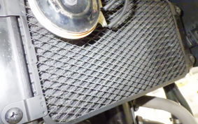 SUZUKI Vｽﾄﾛｰﾑ250 2004