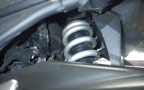 YAMAHA YZF-R25 A RG43J