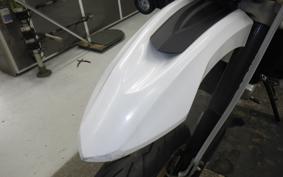 YAMAHA WR250X 2024