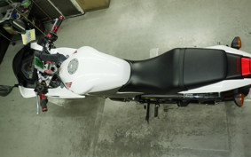 HONDA VTRF250 2021 MC33