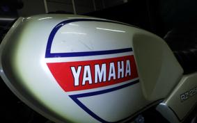 YAMAHA RZ 250 2017 4L3