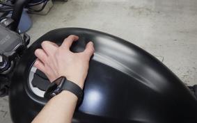 KAWASAKI ELIMINATOR400-3 2023 EL400A