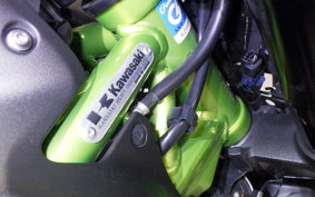 KAWASAKI Z900 Gen.2 2021 ZR900B