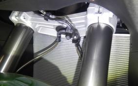 KAWASAKI NINJA 1100SX 2026 ZXT10H