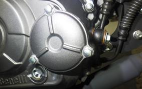 BENELLI TNT125