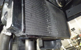 KAWASAKI NINJA 250 SL BX250A