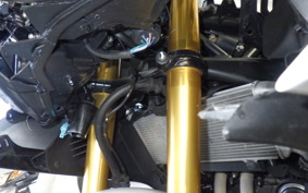 HONDA CBR250RR A MC51