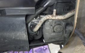 YAMAHA VINO 50 2025 SA37J