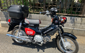 HONDA  CROSS  CUB 50 BEAR MONVER AA06