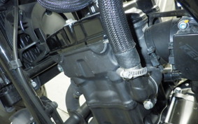 HONDA REBEL 250 2018 MC49