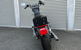 HARLEY XL1200R 2007 CV3