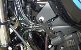 HARLEY XL1200NS 2019