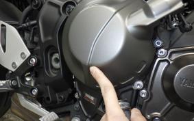 YAMAHA XSR900 2023 RN80J