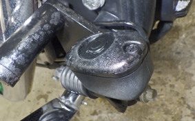 HARLEY FXSTD 1450 2004