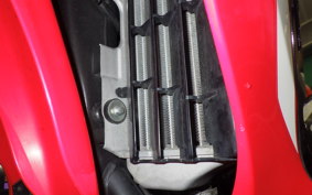 HONDA CRF250 RALLY A 2024 MD44