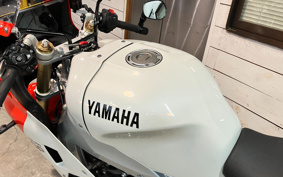 YAMAHA XSR900 GP 2024 RN96J