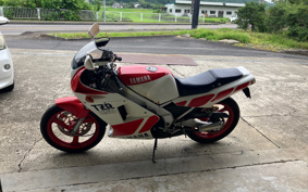 YAMAHA TZR250-1 1KT