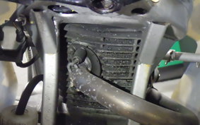 HONDA NSF100 HR01