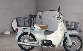 HONDA LITTLE CUB AA01