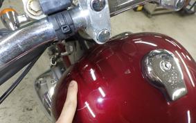 YAMAHA VIRAGO 250 2022 3DM
