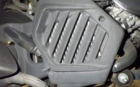 HONDA TACT Basket AF79
