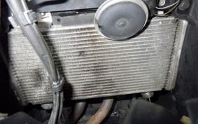 KAWASAKI NINJA 250 ABS EX250L