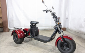 HONDA  BLAZE EV TRIKE  DMJC