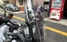 TRIUMPH TIGER 900GT PRO 2024 TRC82D