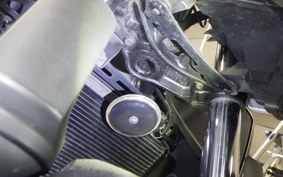 KAWASAKI Z250