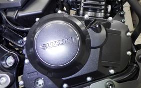 SUZUKI Vｽﾄﾛｰﾑ250A 1998