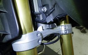 TRIUMPH TIGER 1200 RALLY 2024