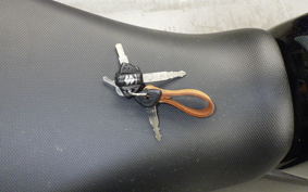 SUZUKI Vｽﾄﾛｰﾑ250A 2022