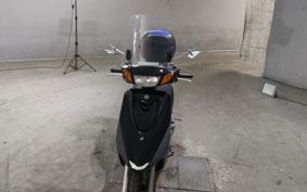 YAMAHA AKUSHI STREET SE53J