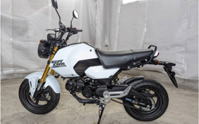 HONDA GROM JC92