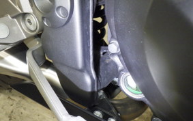 KAWASAKI NINJA 250 ABS 2024 EX250L