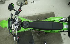 KAWASAKI KLX230S 2010 LX232A