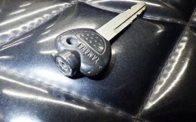 YAMAHA MAJESTY 250 TRIKE C 2024 SG03J