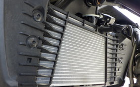 YAMAHA MT-25 A RG74J