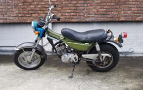SUZUKI VANVAN 125 RV125