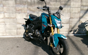 KAWASAKI Z125 PRO BR125H