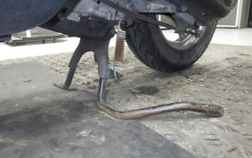 HONDA DIO Gen.5 AF56