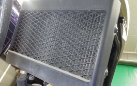 HONDA REBEL 250 A 2006 MC49