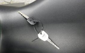 KAWASAKI NINJA 250 SL BX250A