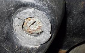 OTHER +YAMAGUCHI ｵｰﾄﾍﾟｯﾄ C