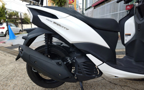 YAMAHA TORI CITY 155 SG37J