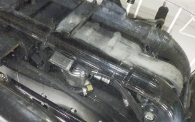 OTHER +HD. XL1200X 2009