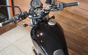 TRIUMPH STREET TWIN 2020 DAD74G